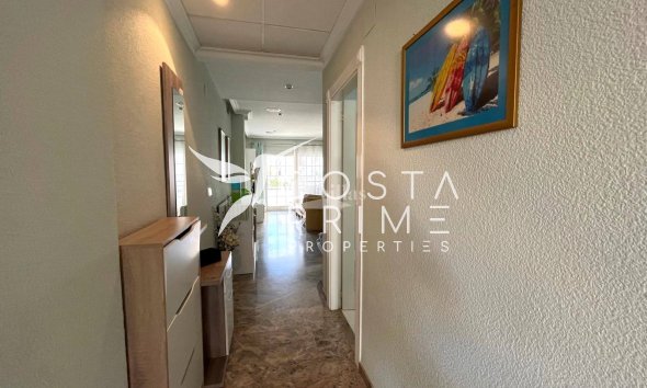 Wynajem długoterminowy - Mieszkanie w Bloku - Albir