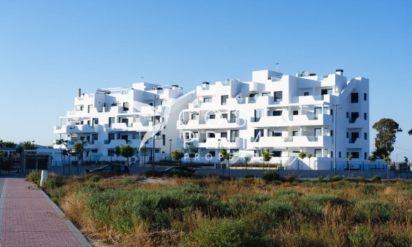 Új építésű - Apartman / lakás - Torre Pacheco