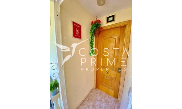 Long term rental - Apartment / Flat - Benidorm