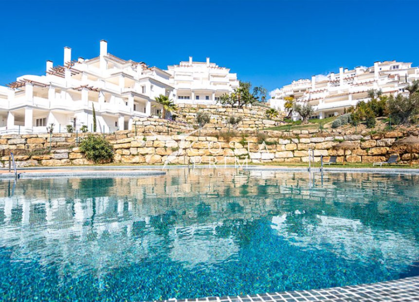 Obra nueva - Ático - Marbella