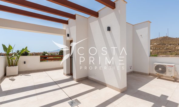 Obra nueva - Chalet / Villa - Vera