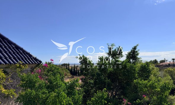 Resale - Villa  - Mutxamel