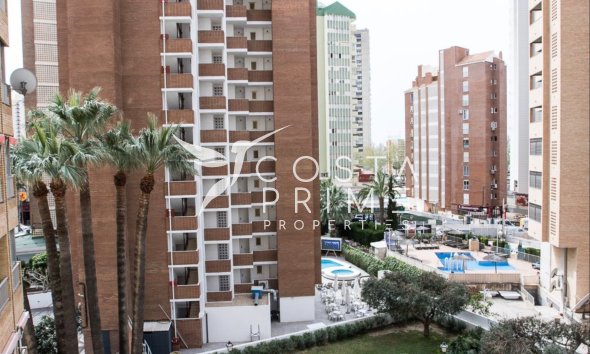 Long term rental - Apartment / Flat - Benidorm