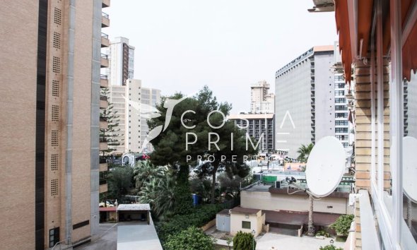 Long term rental - Apartment / Flat - Benidorm