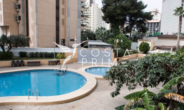 Long term rental - Apartment / Flat - Benidorm