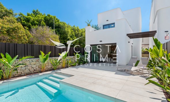 New build - Villa  - Pilar de la Horadada