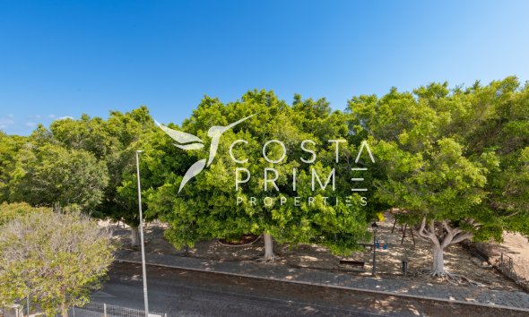 New build - Villa  - Pilar de la Horadada