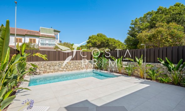 New build - Villa  - Pilar de la Horadada