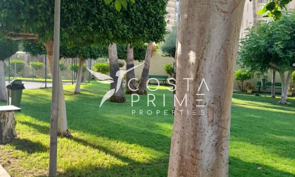 Resale - Apartment / Flat - Benidorm