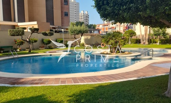 Resale - Apartment / Flat - Benidorm