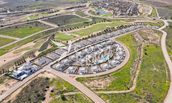 Obra nueva - Chalet / Villa - Fuente Álamo