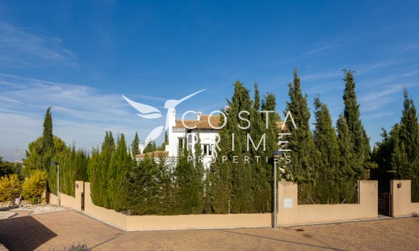 Obra nueva - Chalet / Villa - Fuente Álamo