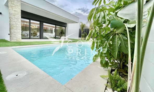 Nowy budynek - Szalet - Molina De Segura