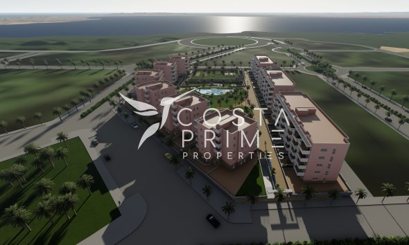 Obra nueva - Ático - Guardamar del Segura