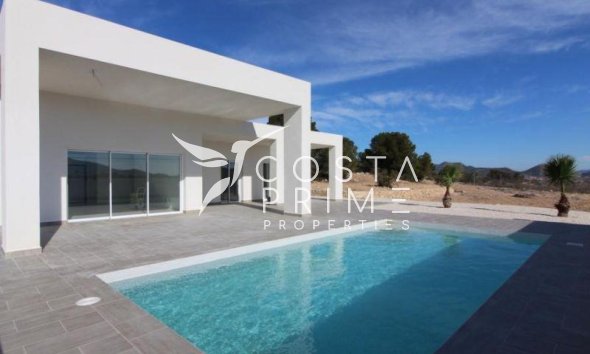 New build - Villa  - Pinoso