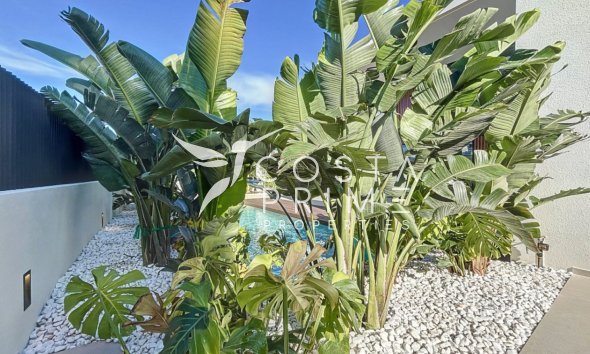 Új építésű - Villa  - Albir