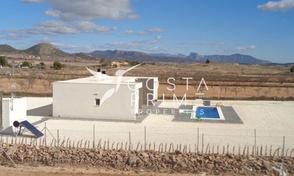 New build - Villa  - Pinoso