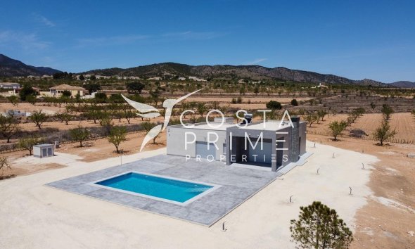 New build - Villa  - Pinoso