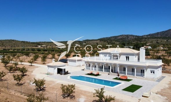 New build - Villa  - Pinoso