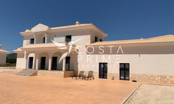 New build - Villa  - Pinoso