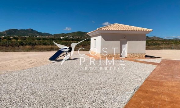 New build - Villa  - Pinoso