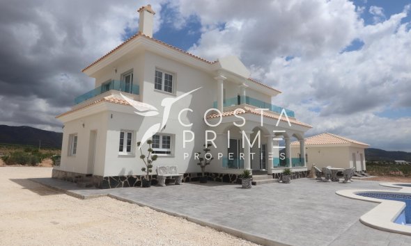 New build - Villa  - Pinoso