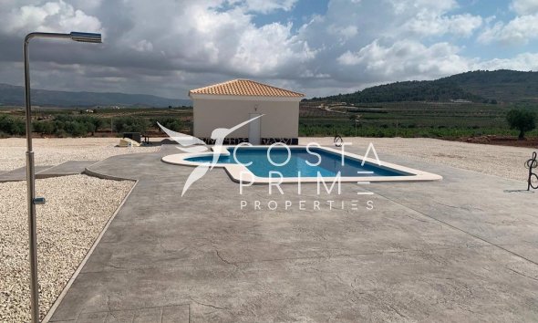 New build - Villa  - Pinoso