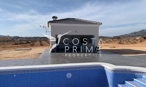 New build - Villa  - Pinoso