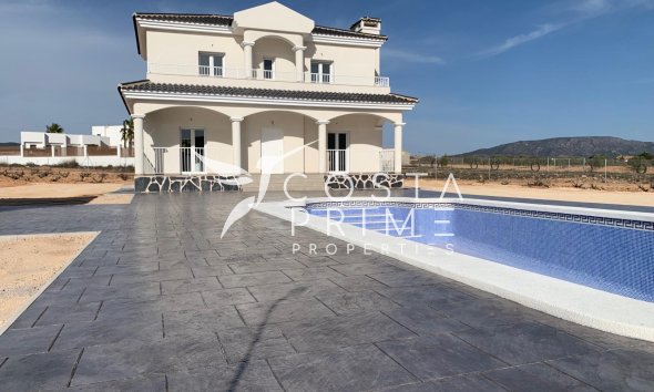 New build - Villa  - Pinoso