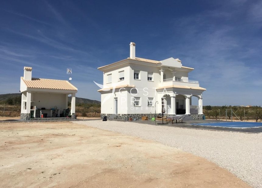 New build - Villa  - Pinoso