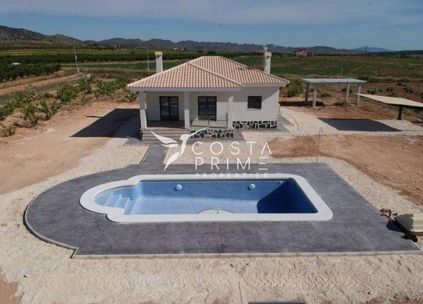 New build - Villa  - Pinoso