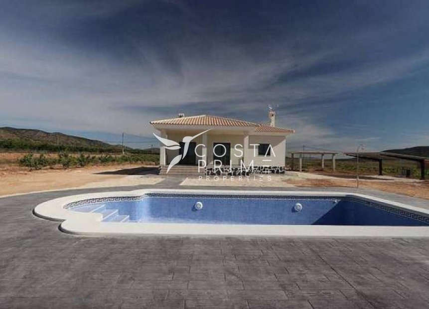 New build - Villa  - Pinoso