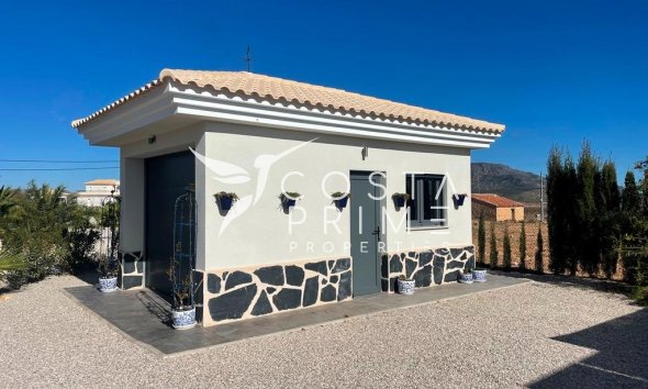 New build - Villa  - Pinoso