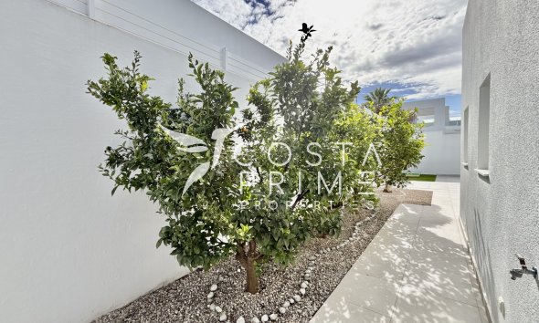 New build - Villa  - Benijofar