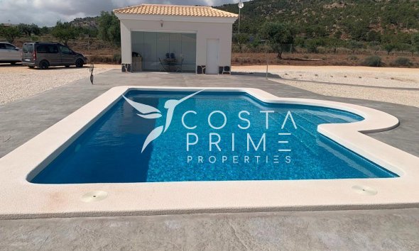 Nowy budynek - Szalet - Pinoso