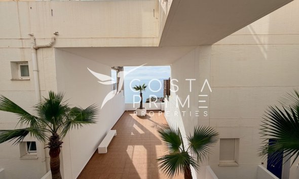 Resale - Apartment / Flat - Benidorm