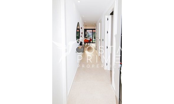 Nowy budynek - Szalet - Molina De Segura