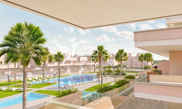 Obra nueva - Apartamento / Piso - Pilar de la Horadada