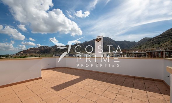 Obra nueva - Chalet / Villa - Cox