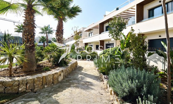 Nowy budynek - Kamienica / bliźniak - Torrevieja