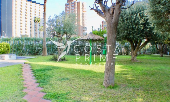 Resale - Penthouse - Benidorm