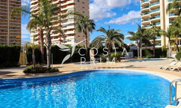 Obra nueva - Apartamento / Piso - Calpe