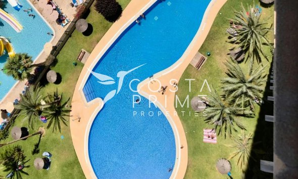 Reventa - Apartamento / Piso - Benidorm