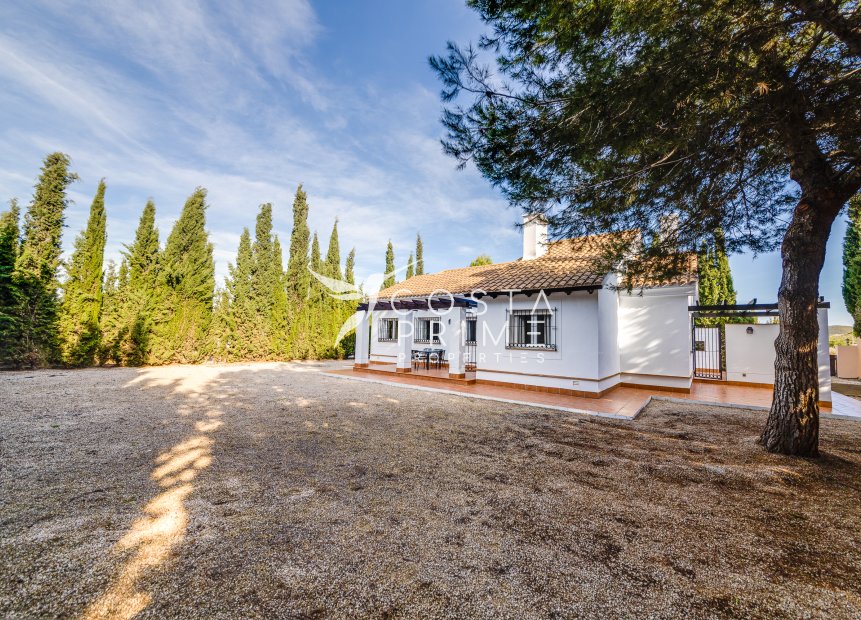 Obra nueva - Chalet / Villa - Fuente Álamo