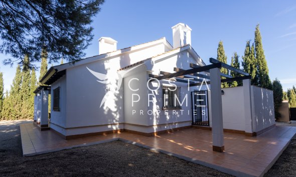 Obra nueva - Chalet / Villa - Fuente Álamo