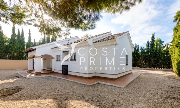Obra nueva - Chalet / Villa - Fuente Álamo