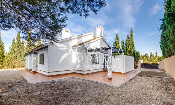 Obra nueva - Chalet / Villa - Fuente Álamo