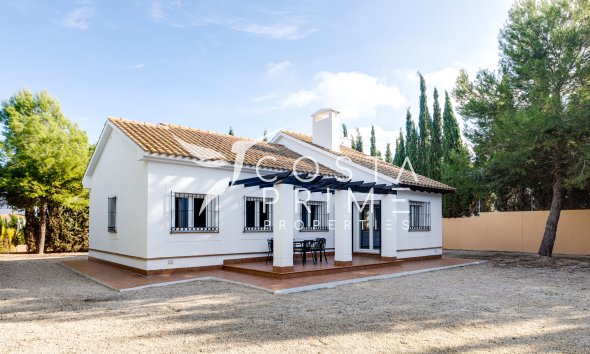 Obra nueva - Chalet / Villa - Fuente Álamo