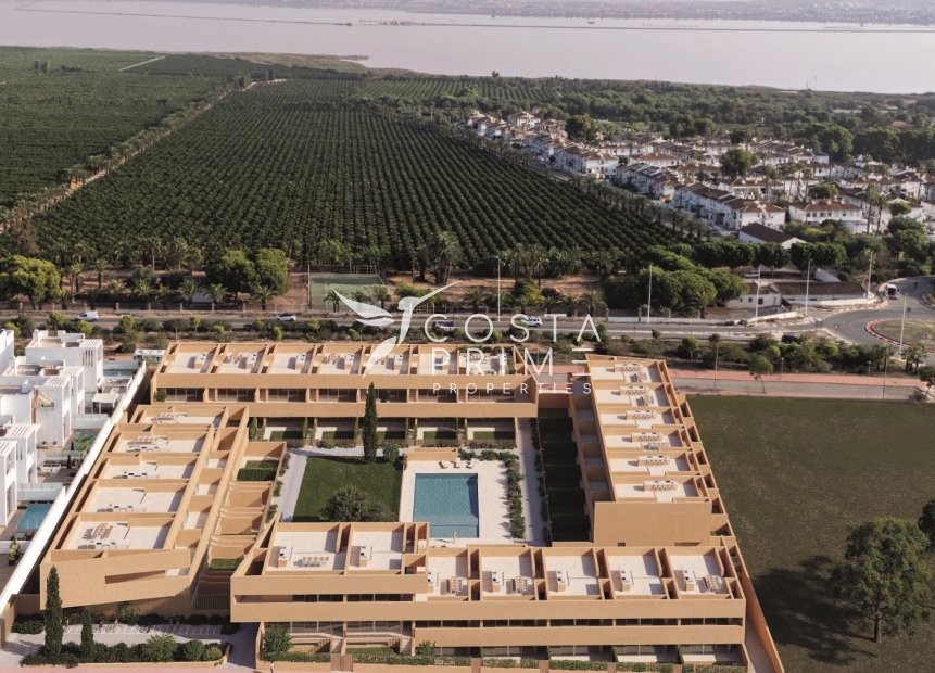 Obra nueva - Adosado / Pareado - Torrevieja