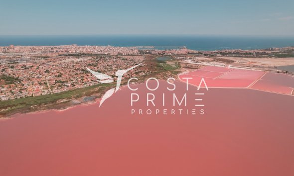 Obra nueva - Adosado / Pareado - Torrevieja